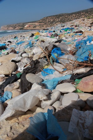 Taghazoute: Surf Paradise, Plastic Hell
